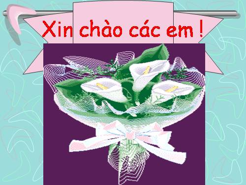 Bài 12. Câu ghép (tiếp theo)