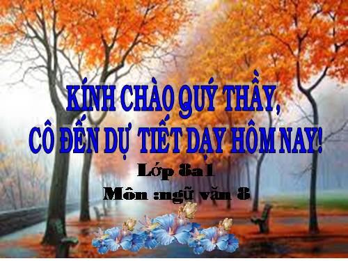 Bài 31. Ôn tập và kiểm tra phần Tiếng Việt (HK II)