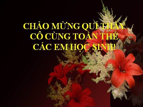 Bài 26. Hội thoại