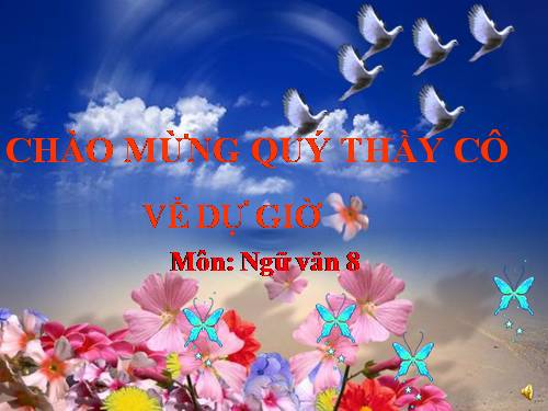 Bài 27. Đi bộ ngao du
