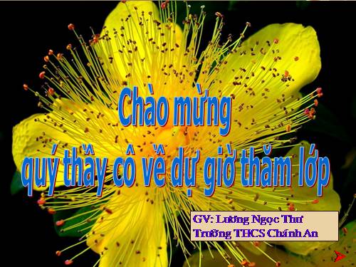 Bài 21. Câu cảm thán