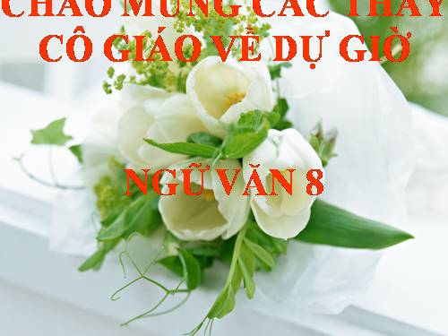 Bài 18. Nhớ rừng