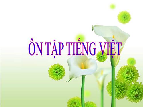 Bài 16. Ôn tập và kiểm tra phần Tiếng Việt