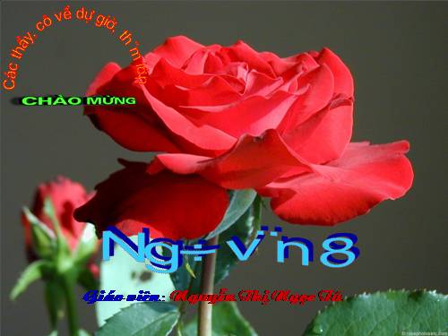 Bài 12. Phương pháp thuyết minh
