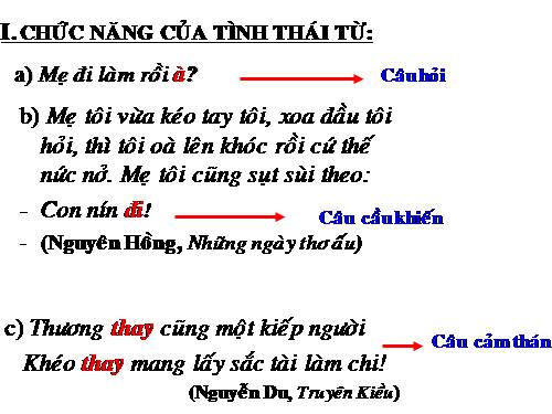 Bài 7. Tình thái từ