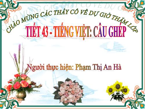 Bài 11. Câu ghép