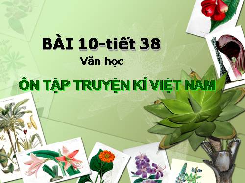 Bài 10. Ôn tập truyện kí Việt Nam