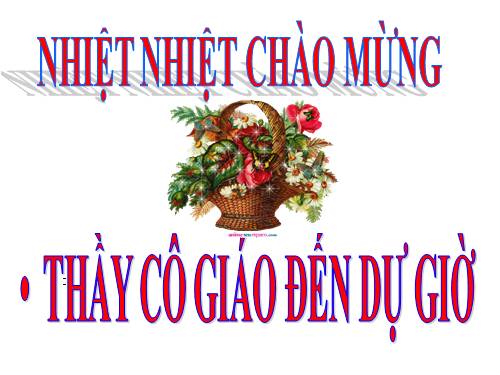 Bài 10. Thông tin về Ngày Trái Đất năm 2000