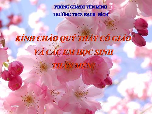 Bài 10. Thông tin về Ngày Trái Đất năm 2000