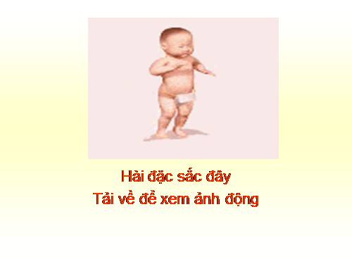 chuyen vui day mun xem phai tai ve day