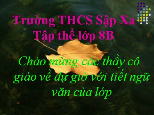 Bài 8. Chiếc lá cuối cùng