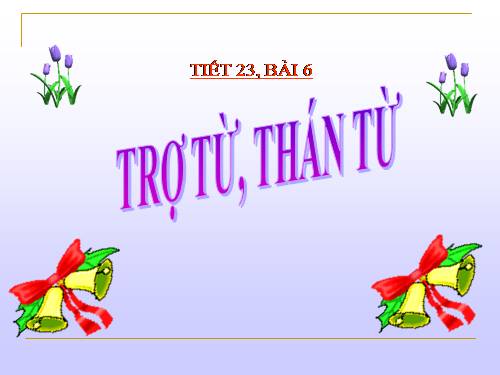 Bài 6. Trợ từ, thán từ