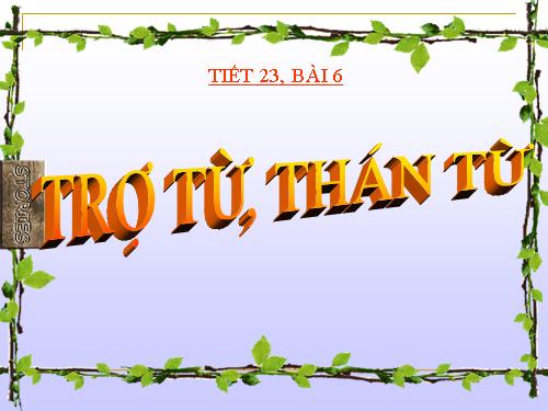 Bài 6. Trợ từ, thán từ