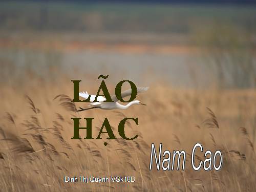 Bài 4. Lão Hạc