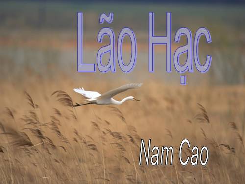 Bài 4. Lão Hạc