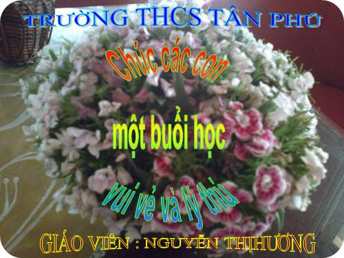 Bài 9. Hai cây phong