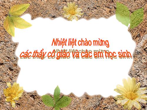 Bài 19. Câu nghi vấn (tiếp theo)