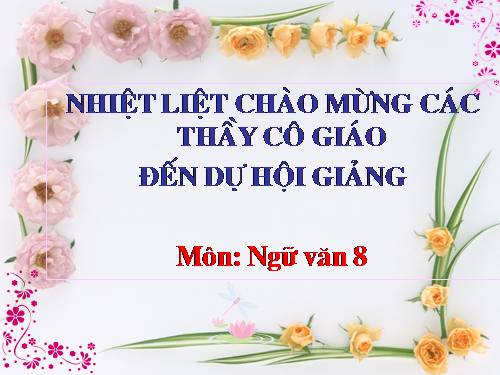 Bài 11. Câu ghép