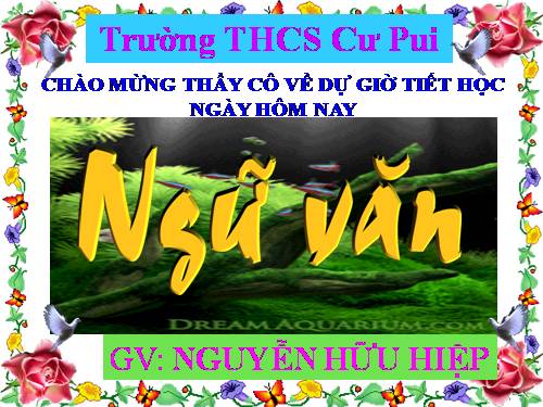 Bài 26. Thuế máu