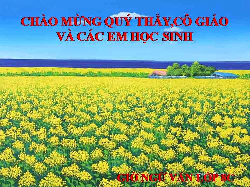 Bài 28. Lựa chọn trật tự từ trong câu