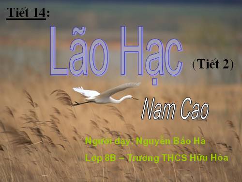 Bài 4. Lão Hạc