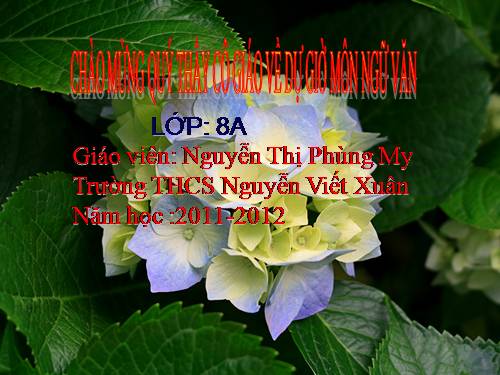 Bài 18. Ông đồ