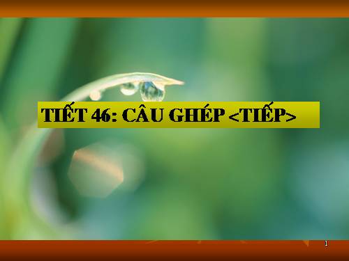 Bài 12. Câu ghép (tiếp theo)