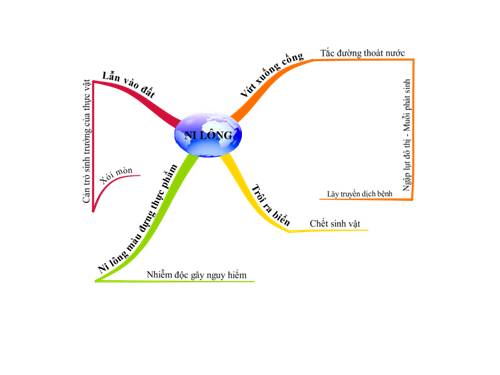 Bài 10. Thông tin về Ngày Trái Đất năm 2000