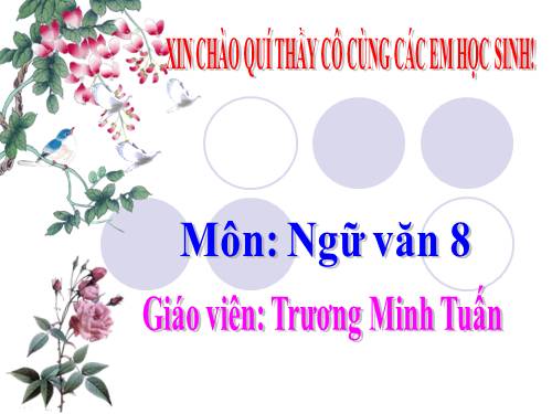 Bài 14. Dấu ngoặc kép