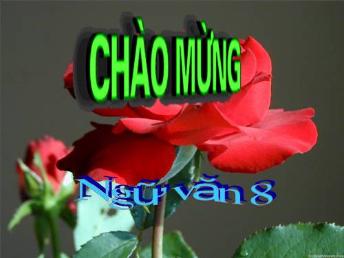 Bài 12. Phương pháp thuyết minh