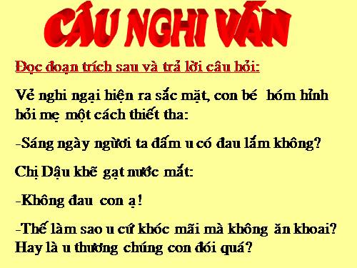 Bài 18. Câu nghi vấn