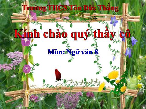 Bài 11. Tìm hiểu chung về văn bản thuyết minh