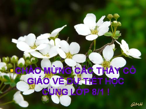 Bài 11. Tìm hiểu chung về văn bản thuyết minh