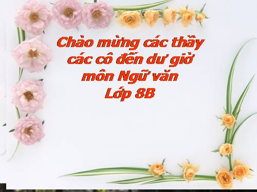 Bài 9. Hai cây phong