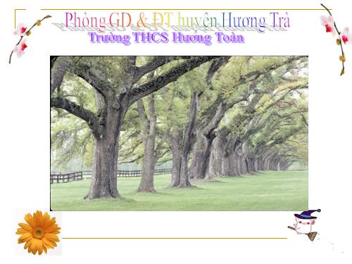 Bài 10. Thông tin về Ngày Trái Đất năm 2000