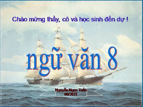 Bài 9. Hai cây phong