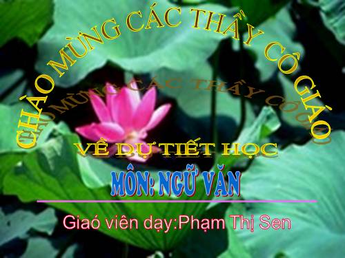 Bài 31. Tổng kết phần Văn