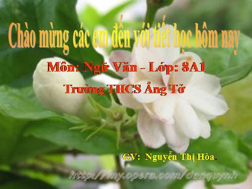 Bài 28. Lựa chọn trật tự từ trong câu