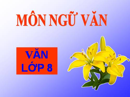 Bài 27. Đi bộ ngao du