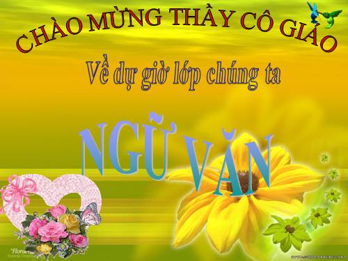 Bài 28. Lựa chọn trật tự từ trong câu