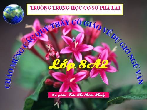 Bài 10. Thông tin về Ngày Trái Đất năm 2000