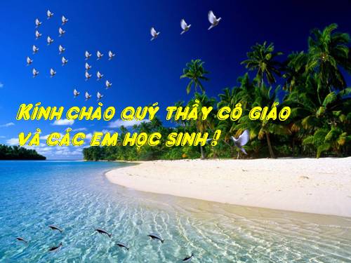 Bài 22. Câu phủ định
