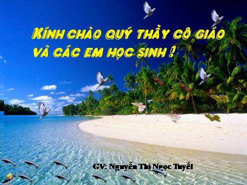 Bài 22. Câu phủ định