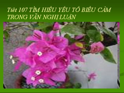 Bài 26. Tìm hiểu yếu tố biểu cảm trong văn nghị luận