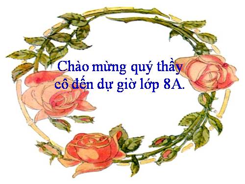 Bài 21. Câu trần thuật