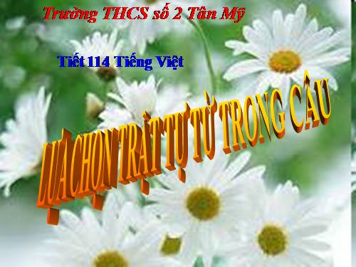 Bài 28. Lựa chọn trật tự từ trong câu