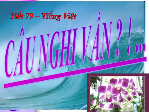 Bài 19. Câu nghi vấn (tiếp theo)
