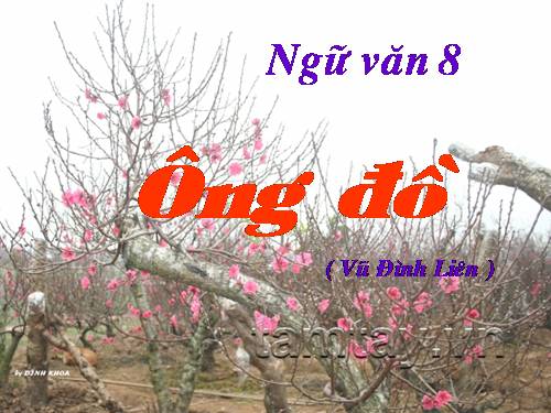 Bài 18. Ông đồ