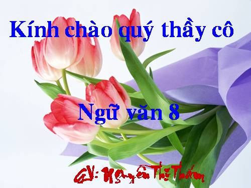 Bài 18. Ông đồ