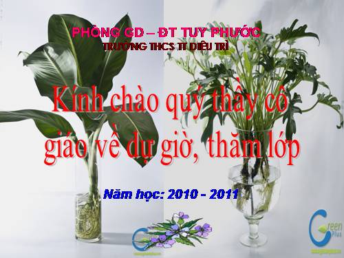 Bài 13. Dấu ngoặc đơn và dấu hai chấm